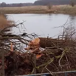 Fischstuebchen Neeberg * Krummin