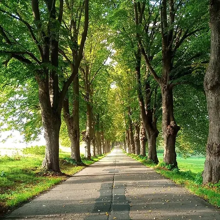 Fischstuebchen Neeberg Casa vacanze *