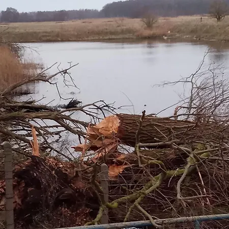 Fischstuebchen Neeberg * Krummin