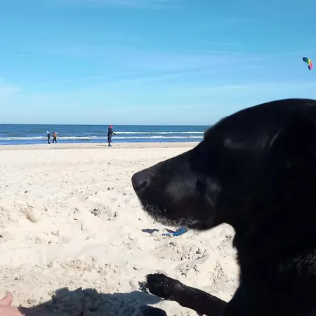 度假居 Fischstuebchen Neeberg *