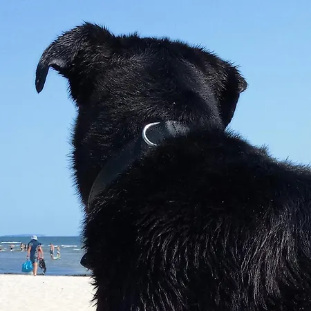 Fischstuebchen Neeberg 度假居 Krummin