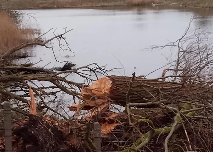 Fischstuebchen Neeberg * Krummin